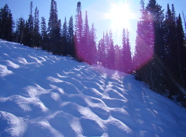 DSC03005