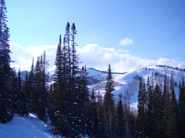 DSC03007