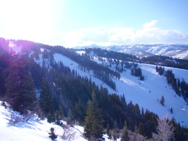 DSC03009