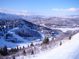 DSC03010