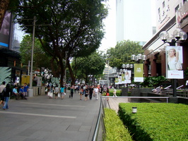 DSC03001