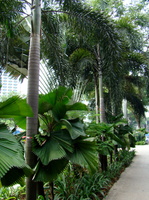 DSC03131