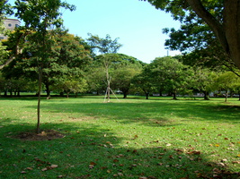 DSC03213
