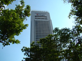 DSC03214