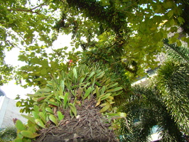 DSC03215