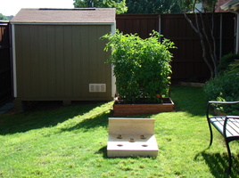 DSC03329