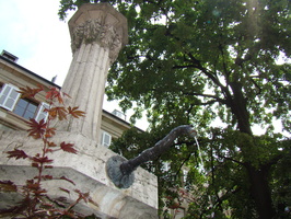 DSC03453