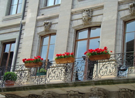 DSC03461