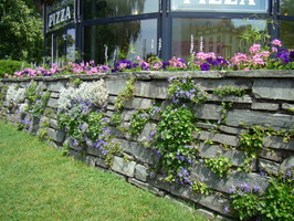 DSC03495