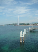 DSC03502