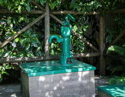 6L2A0208