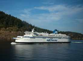 6L2A0211