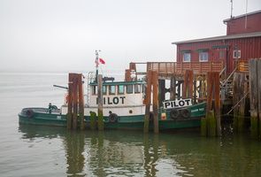 6L2A0245