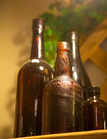 6L2A0511
