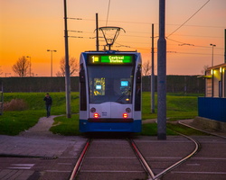 6L2A1310
