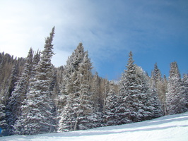DSC03526