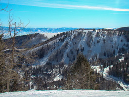 DSC03556