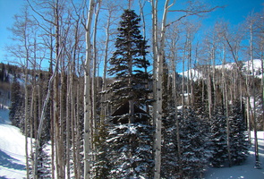DSC03566