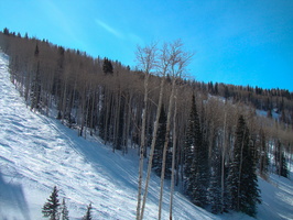 DSC03568