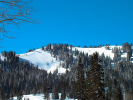 DSC03569