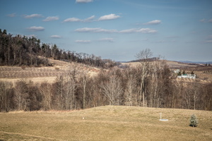 6L2A2019
