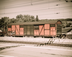 6L2A3040