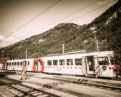 6L2A3164
