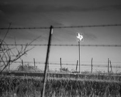 6L2A3608