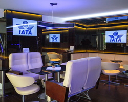 6L2A4378