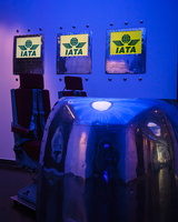 6L2A4380