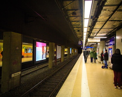 6L2A4501
