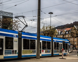 6L2A4512