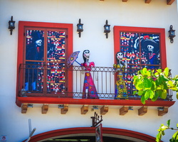 6L2A5231