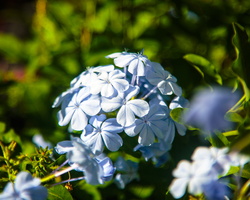 6L2A5264