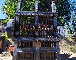 6L2A6745