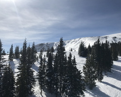 IMG 8001