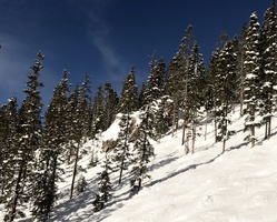 IMG 7981