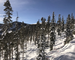 IMG 7967