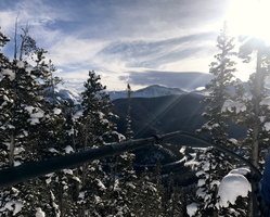 IMG 7964