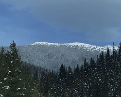 IMG 7938