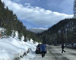IMG 7937