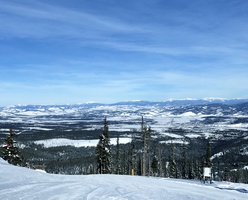 IMG 7903