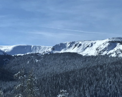 IMG 7899