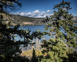 6L2A7587
