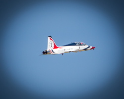 6L2A7736