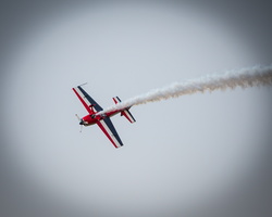 6L2A7772