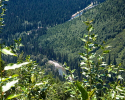 2017 07- Glacier Park Montana- Valley River