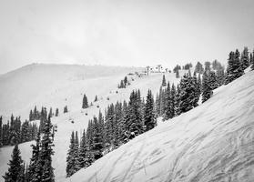 IMG 6013