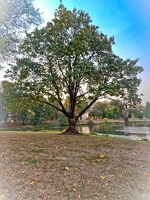 IMG 0409