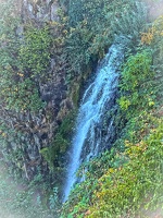 IMG 0487
